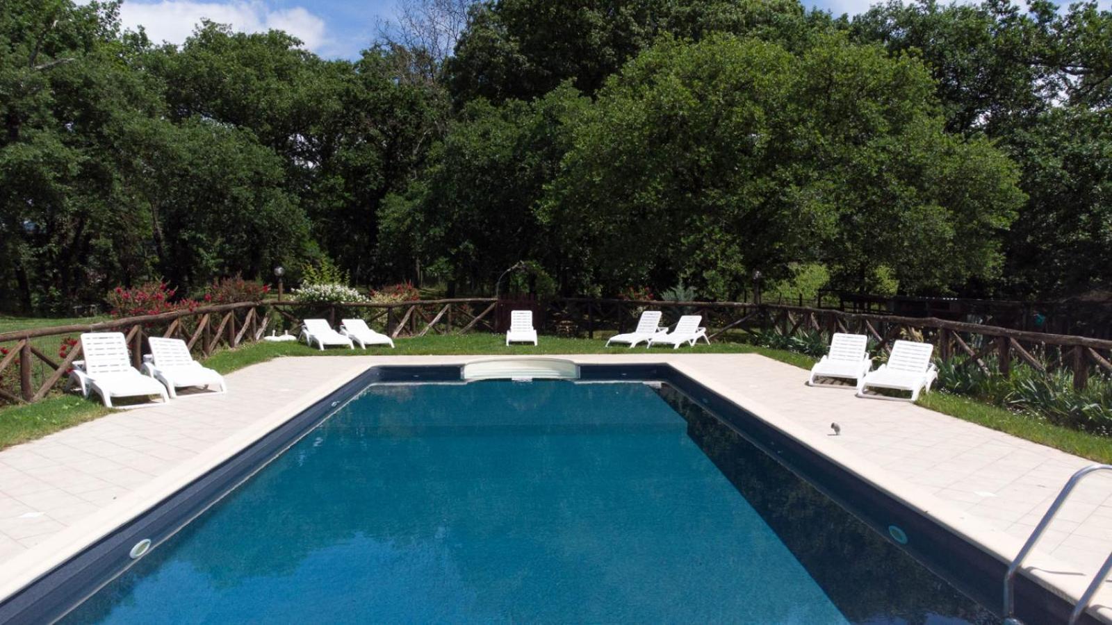 Agriturismo Le Baccane Vinci Bagian luar foto