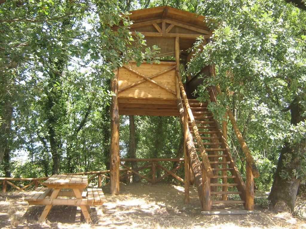 Agriturismo Le Baccane Vinci Bagian luar foto